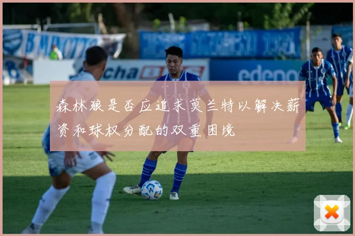 森林狼是否应追求莫兰特以解决薪资和球权分配的双重困境