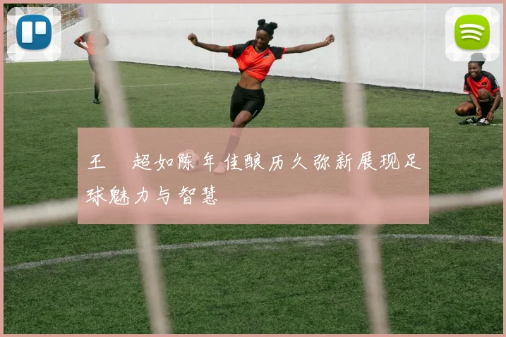 王燊超如陈年佳酿历久弥新展现足球魅力与智慧