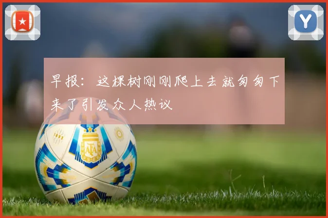 早报：这棵树刚刚爬上去就匆匆下来了引发众人热议