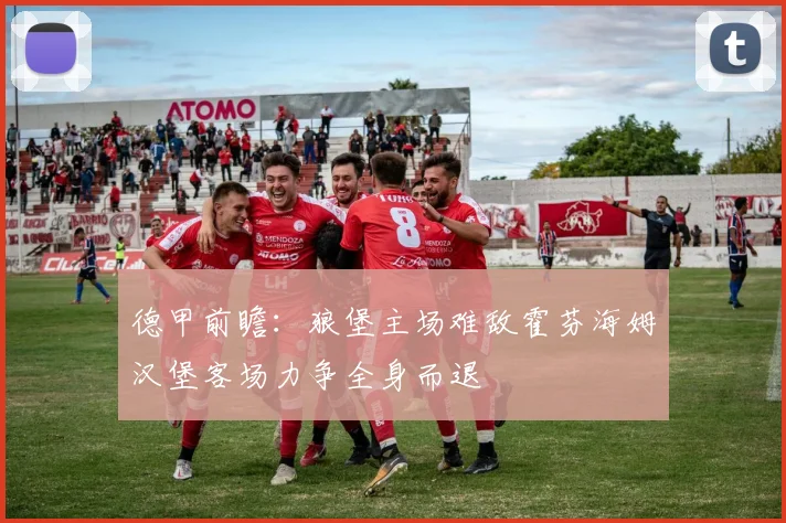 德甲前瞻：狼堡主场难敌霍芬海姆汉堡客场力争全身而退