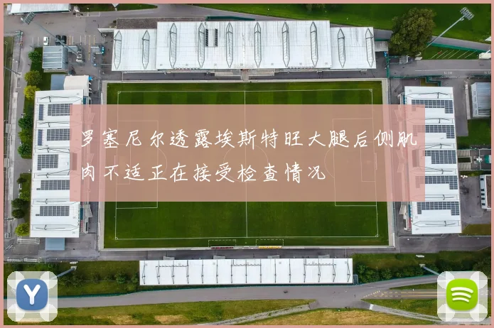 罗塞尼尔透露埃斯特旺大腿后侧肌肉不适正在接受检查情况