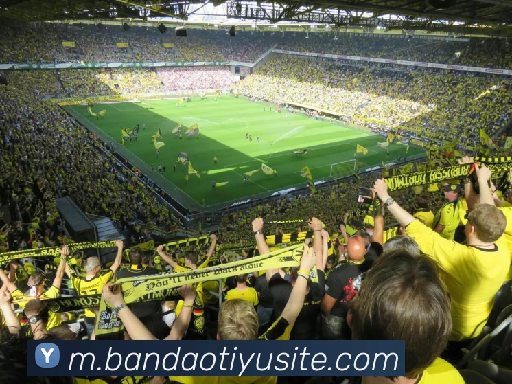 半岛体育APP 体育赛事宣传图